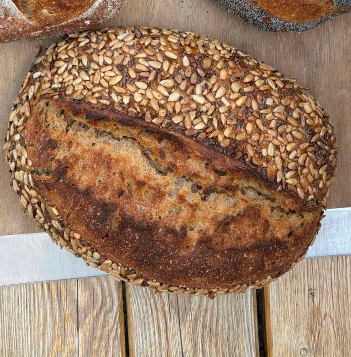 Fröbröd