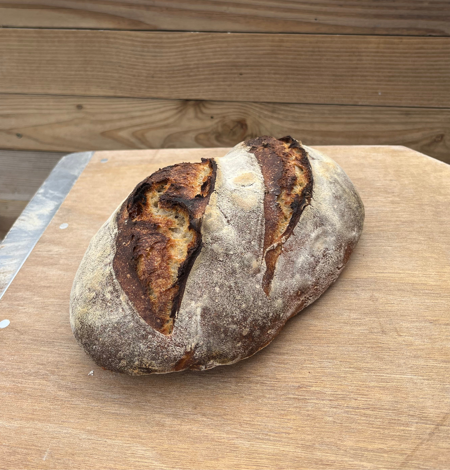 Månadens bröd - Enkornsbröd med frukt och rostade hasselnötter