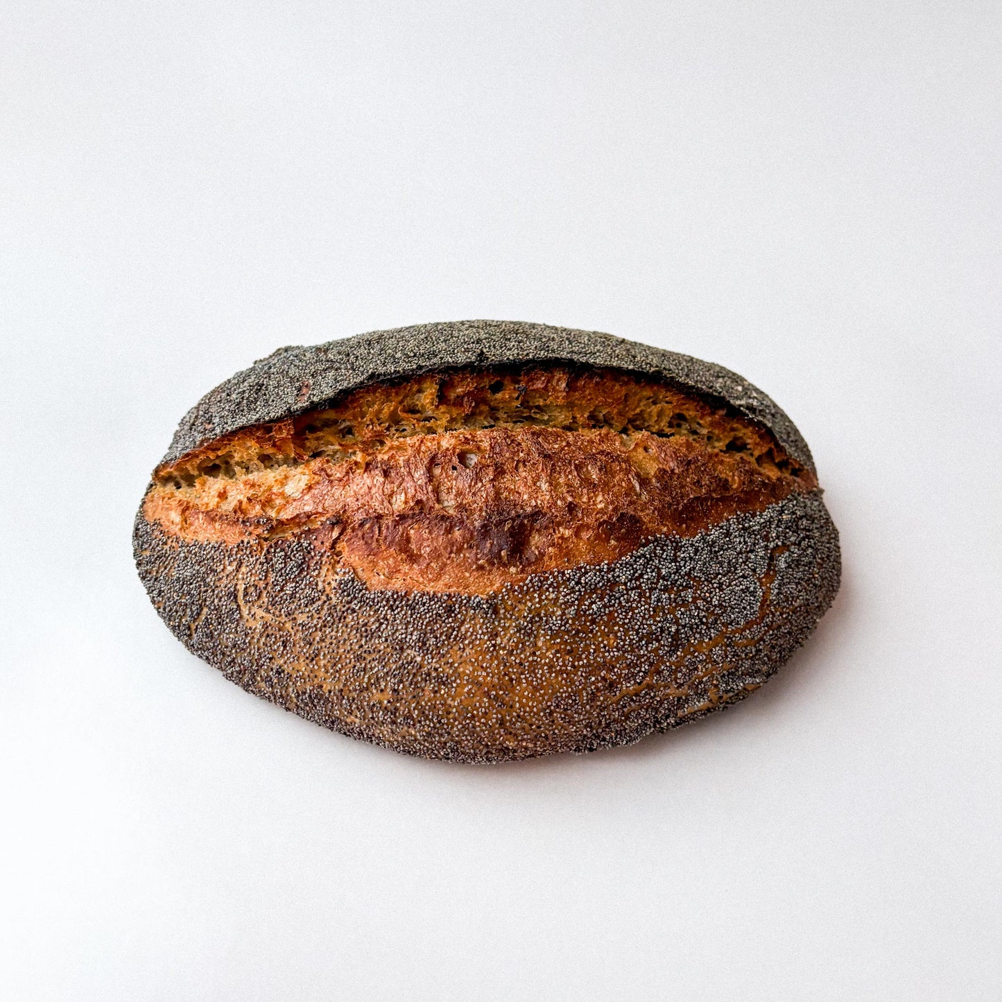 Vallmobröd