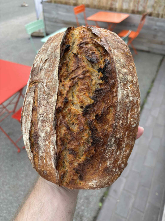 Morotsbröd
